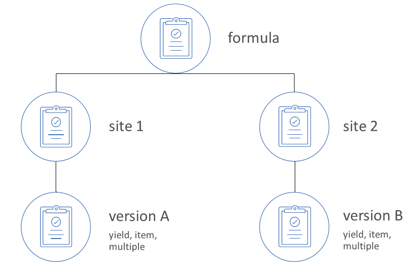 A diagram of Formula versions and sites.
