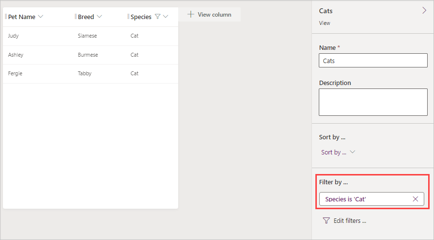 Screenshot of View properties pane with Filter by highlighted and the filter listed.