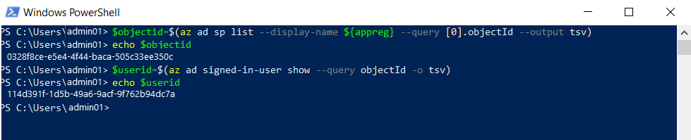 Screenshot of using the Windows PowerShell environment to get the apps object and user ID.