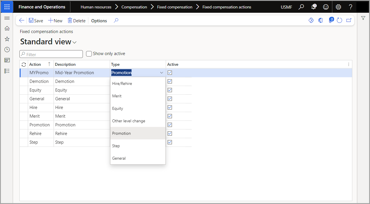 Screenshot of the Human Resources compensation fixed actions.