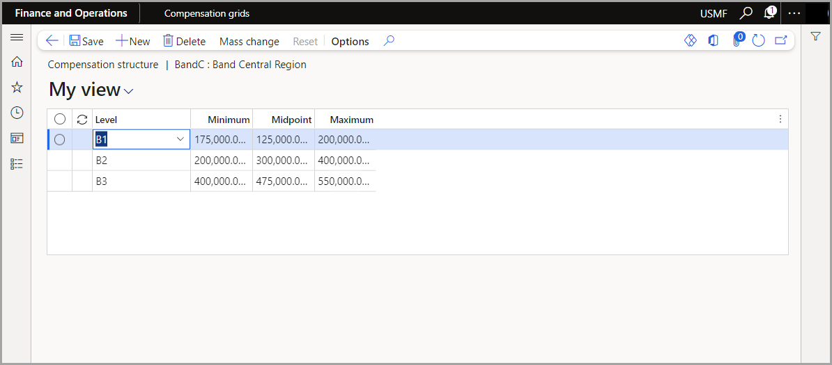 Screenshot of the Human Resources compensation structure levels.