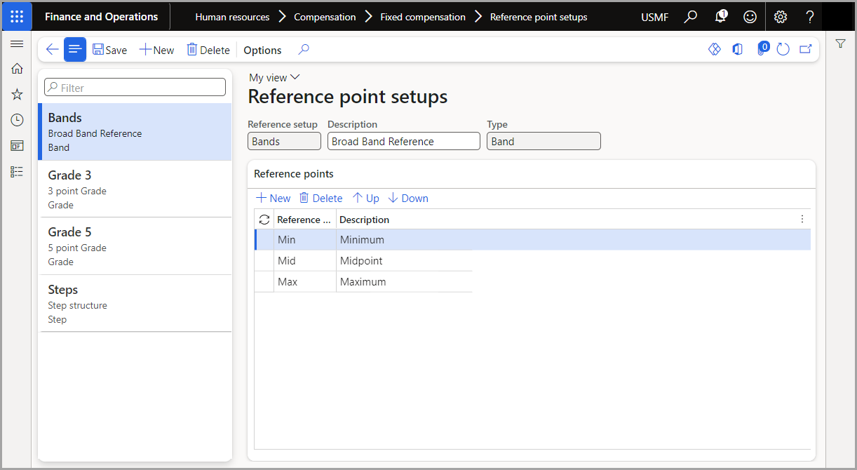 Screenshot of the Human Resources compensation reference points.
