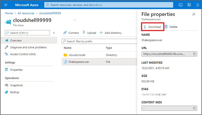 Screenshot showing the file download link.