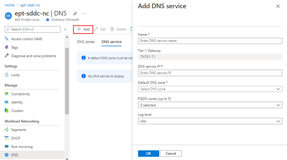 Screenshot of the Azure portal showing the fields for configuring the D N S service.