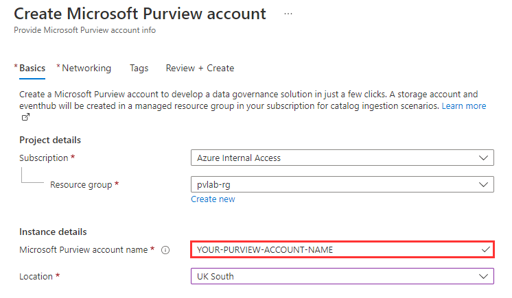 Screenshot showing the create Microsoft Purview account window, with the account name box highlighted.