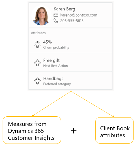 Screenshot depicts customer card with attributes from Customer Insights and the Client Book.