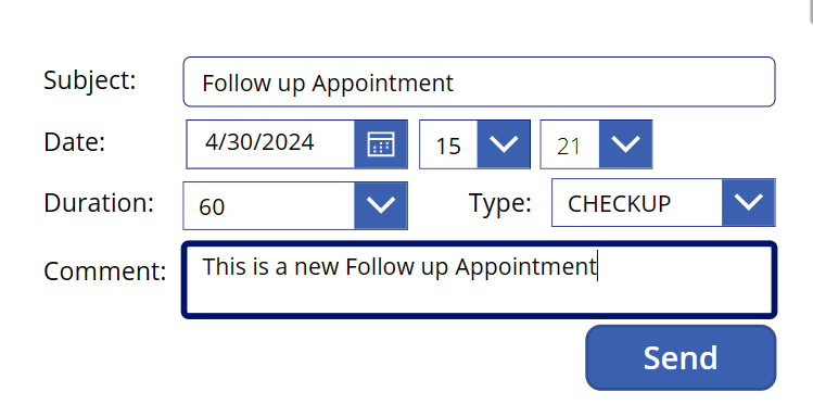 Screenshot of the application preview with the fields filled in.