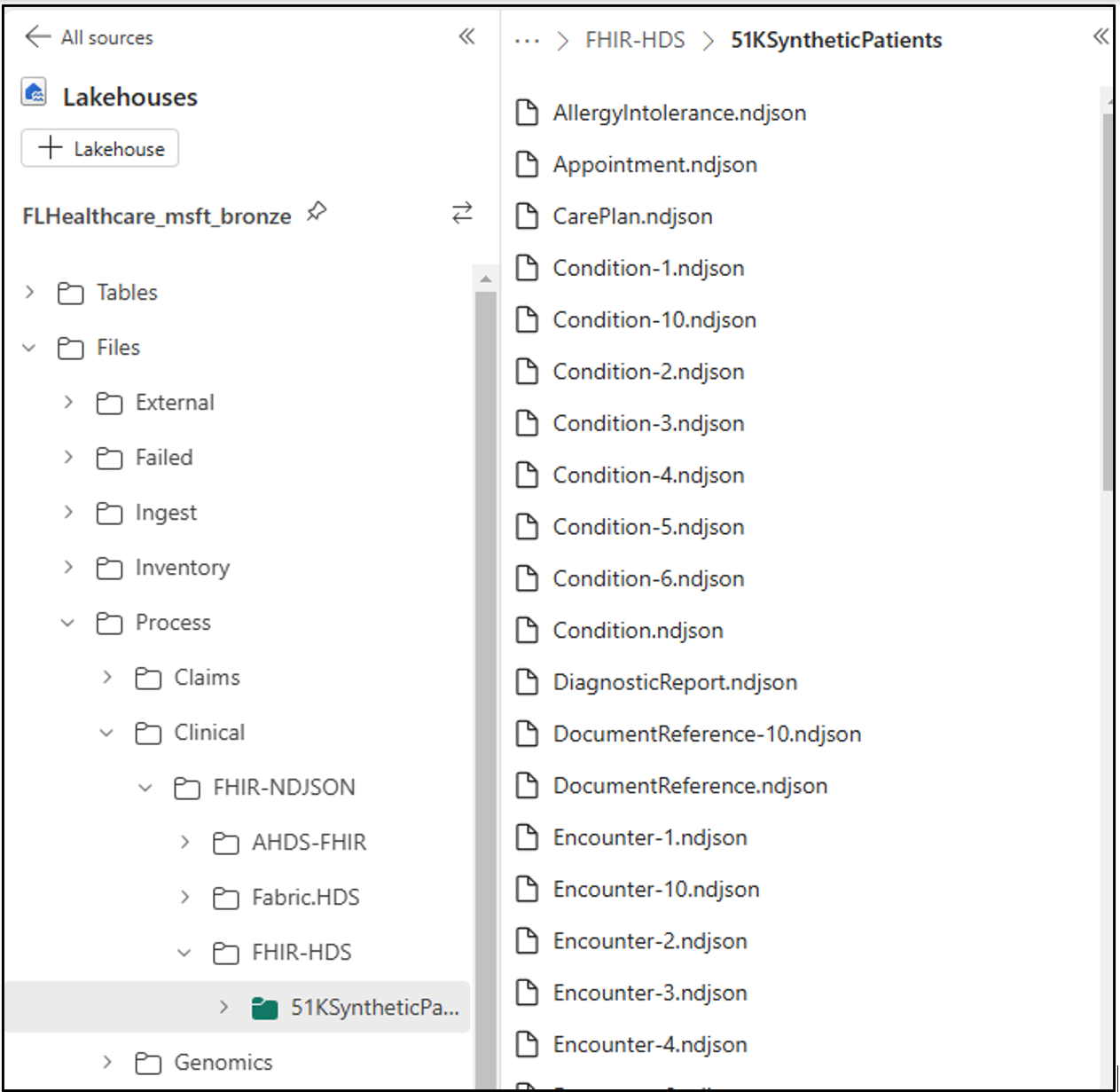 Screenshot of the copied files.