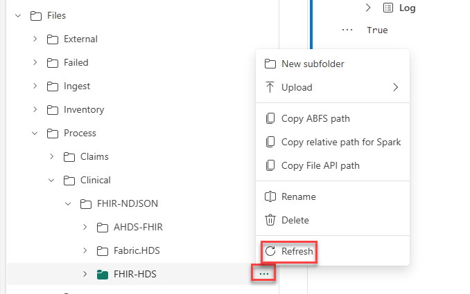 Screenshot of refreshing the FHIR-HDS node.
