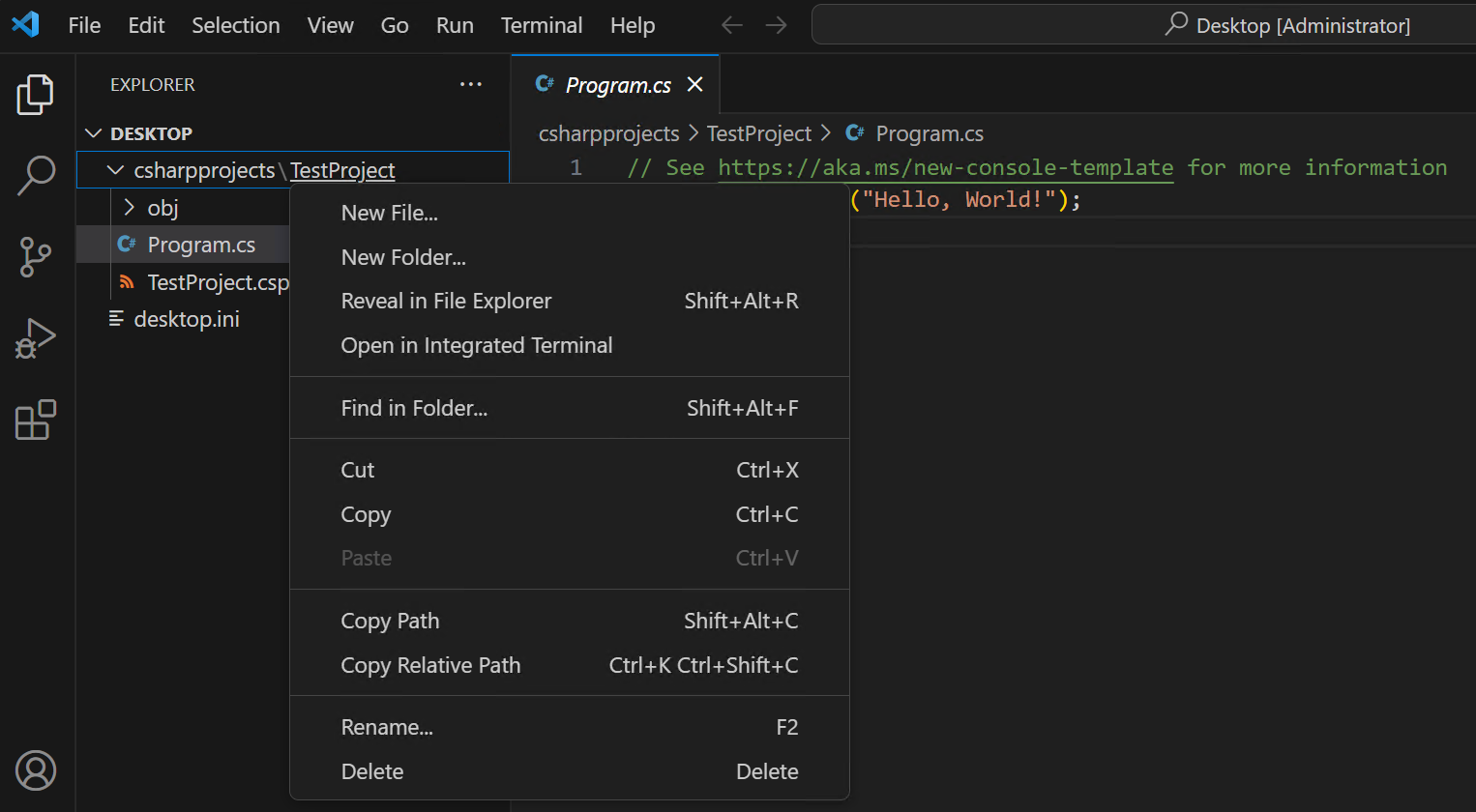 Screenshot showing a command being entered in the Visual Studio Code integrated terminal panel.