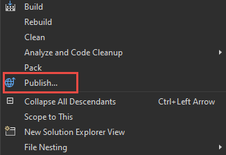Screenshot of right-click Project and the publish option.