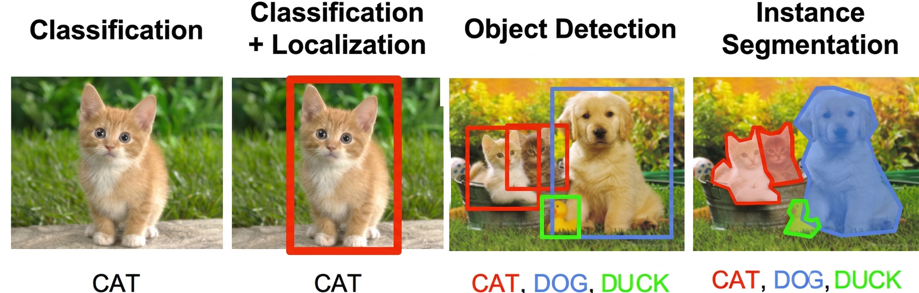 An image showing how computer vision object detection can be performed with cats, dogs, and ducks.