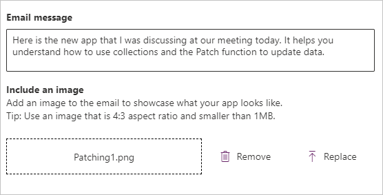 Screenshot of the Email message field with text entered and an image uploaded in the include an image section.