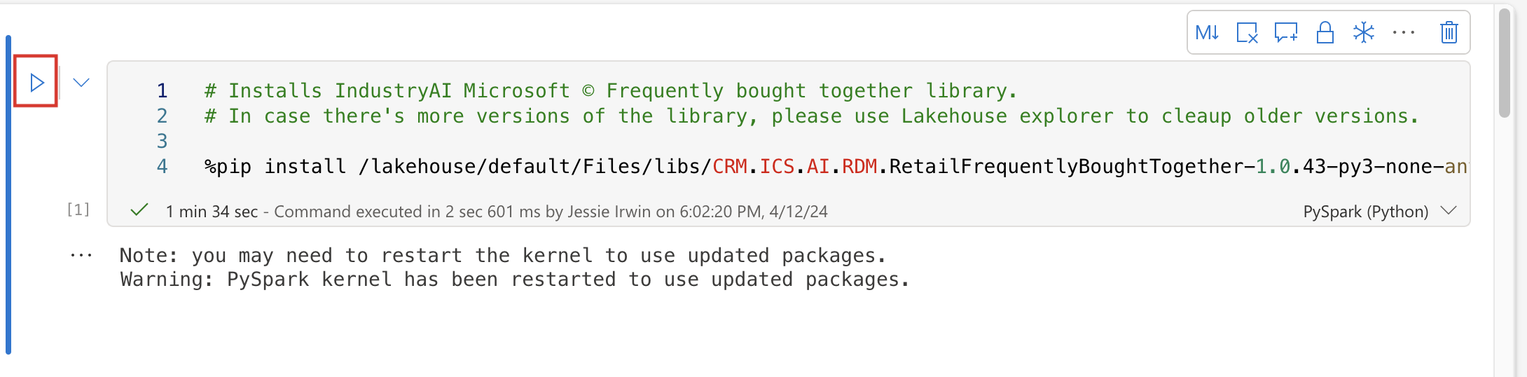Screenshot of the run cell button.