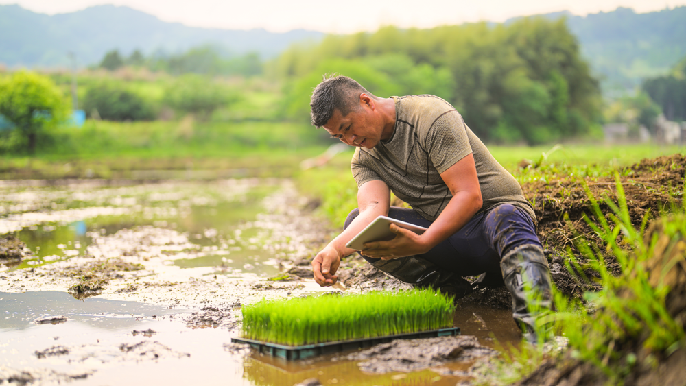 A photo of a university professor conducting field research in a remote setting using a tablet.