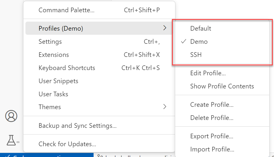Screenshot of the Profiles menu command in Visual Studio Code.