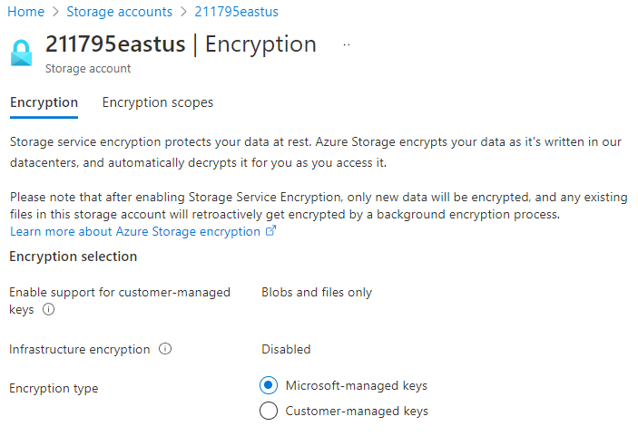 Screenshot that shows Azure Storage encryption, including keys managed by Microsoft and customer-managed keys.