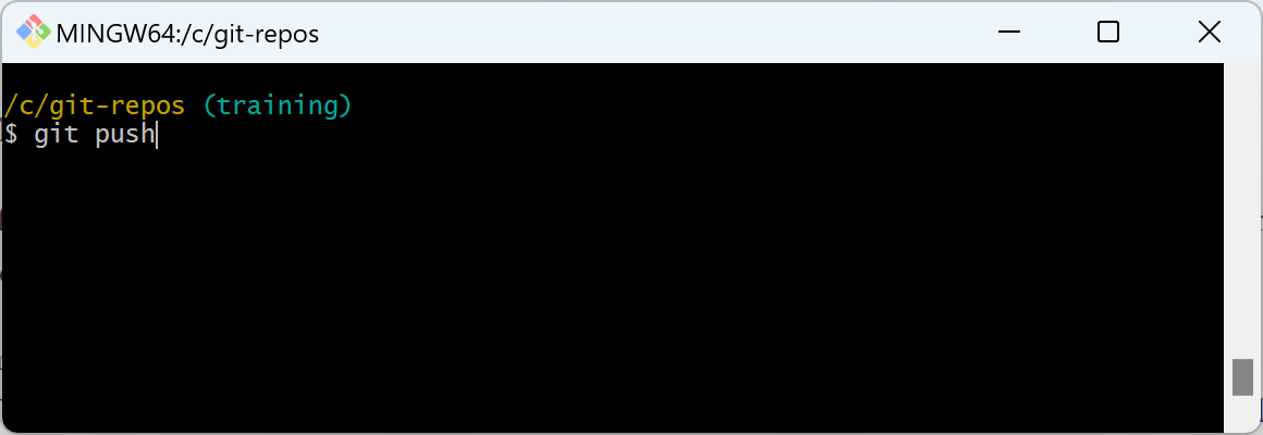 Screenshot of the git push command.
