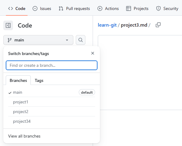 Screenshot of the branch selector in GitHub.