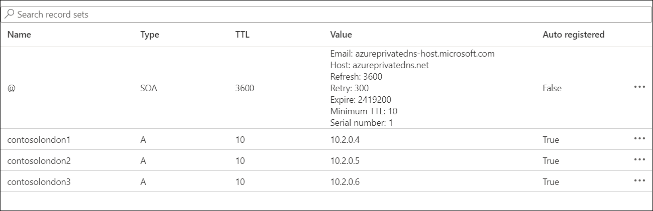 A screenshot of a private zone in the Azure portal. The Overview page is selected, and a list of zone records displays. These include three for VMs connected to the linked VNet.