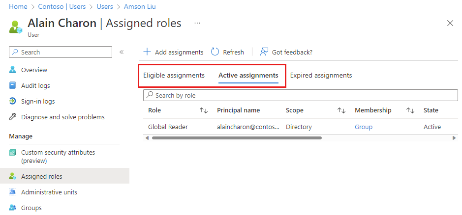 Screenshot showing a users assigned role and active assignments in the Azure portal.