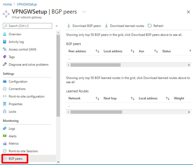 Screenshot of the BGP peers screen.
