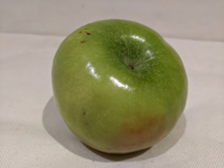 Diagram of an apple.