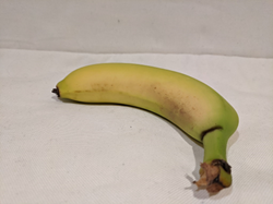 Diagram of a banana.