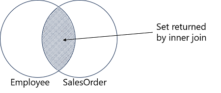 A Venn diagram showing the matching members of the Employee and SalesOrder sets