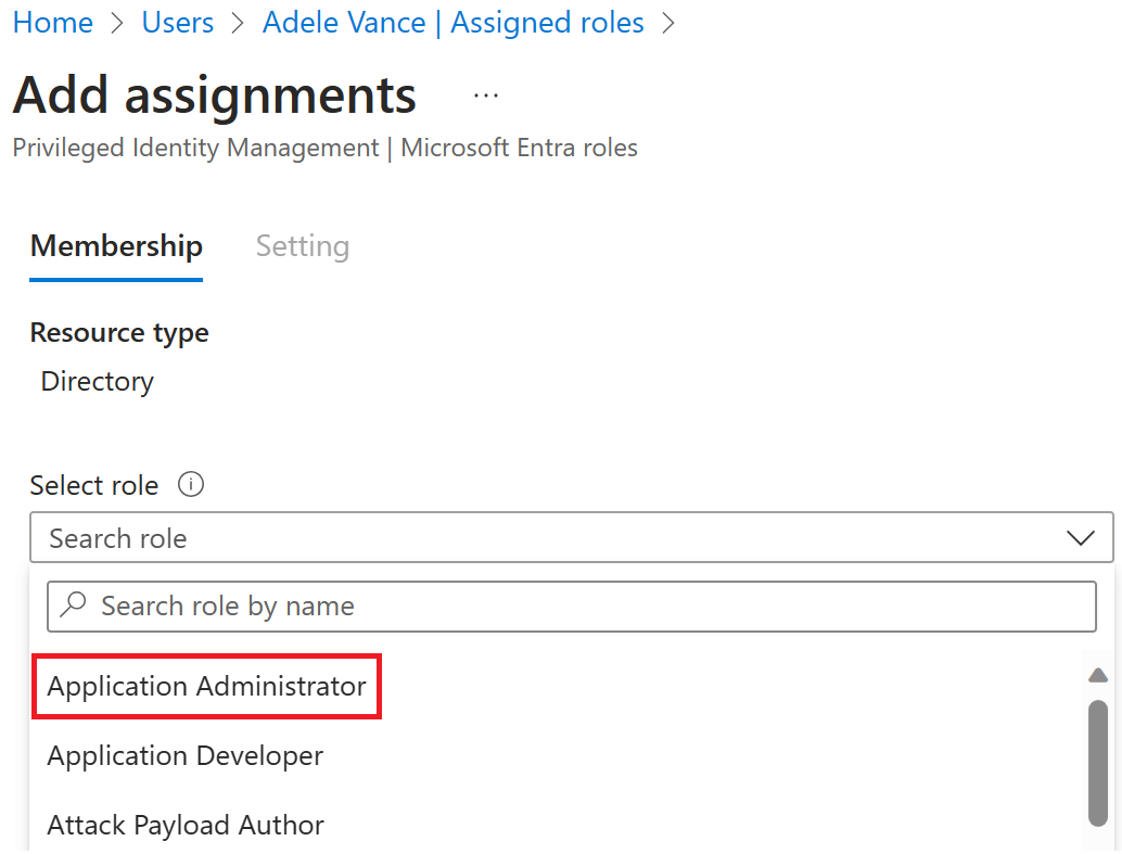 Screenshot of the Assigned roles page - showing the selected role of Application administrator.