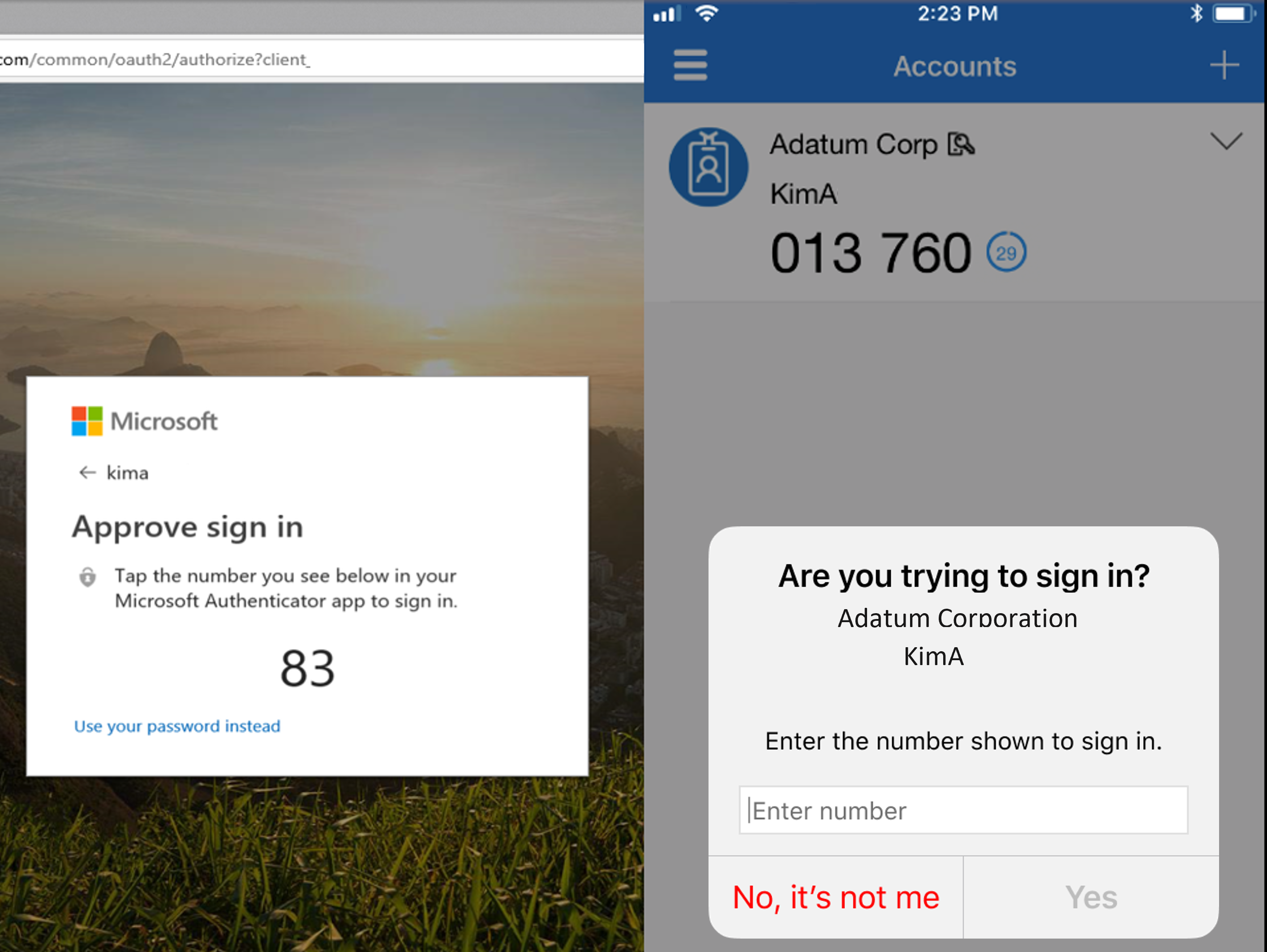 Screenshot of the sign-in verification screen the user sees when verifying authentication with the app.
