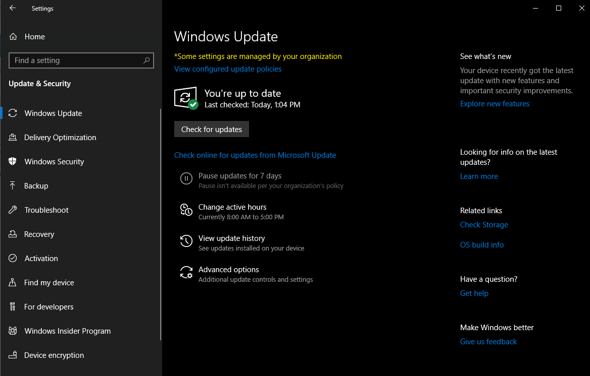 Screenshot of the Windows Update settings page.
