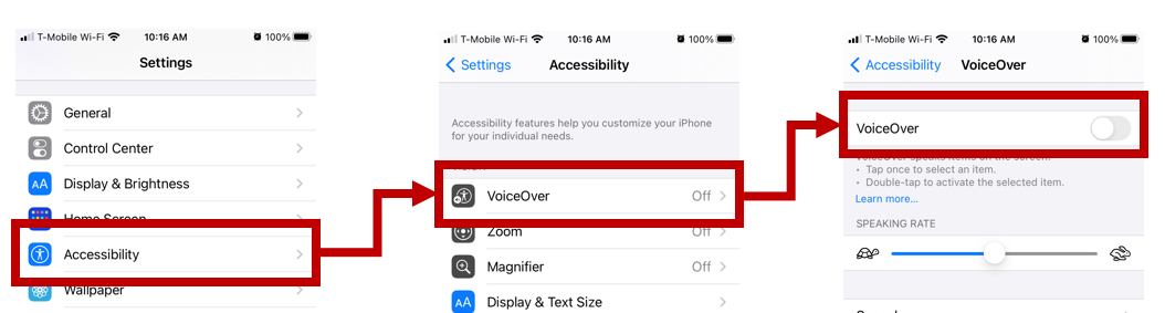 Screenshot that shows selections to enable VoiceOver on iOS.
