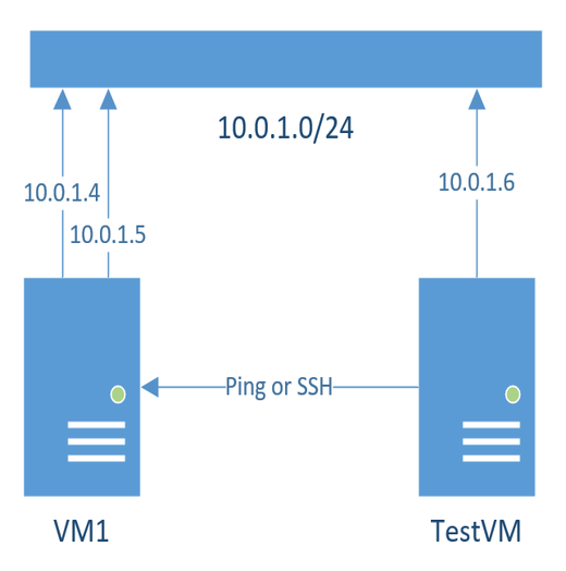Diagram that shows the networking configuration of a VM with two NICs in the same subnet.