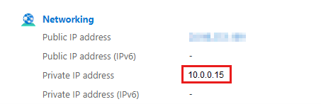 Screenshot shows the private IP address under Networking in the Azure portal.