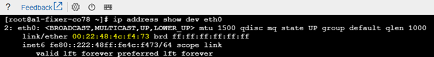 Screenshot of the text output in a terminal window where there is no IPv4 address.