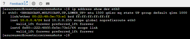 Screenshot of the text output in a terminal window where there is an IPv4 address.