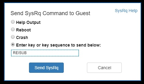 Screenshot of the Send SysRq Command to Guest dialog box when the entering key option is selected and REISUB is input into the field below.