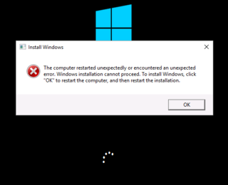 Screenshot of the error while Windows Installation is in progress.