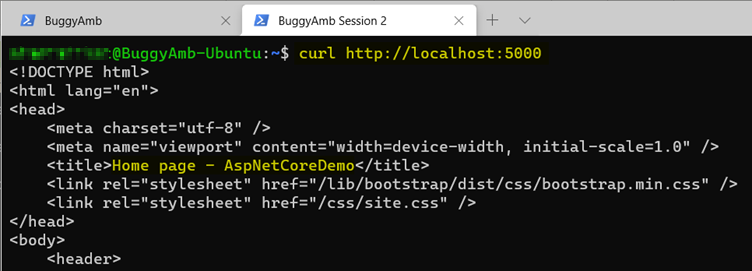 Screenshot of curl localhost at 5000 port command.