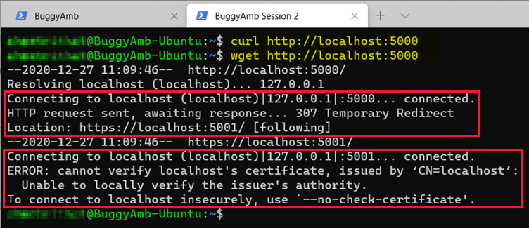 Screenshot of curl localhost command.