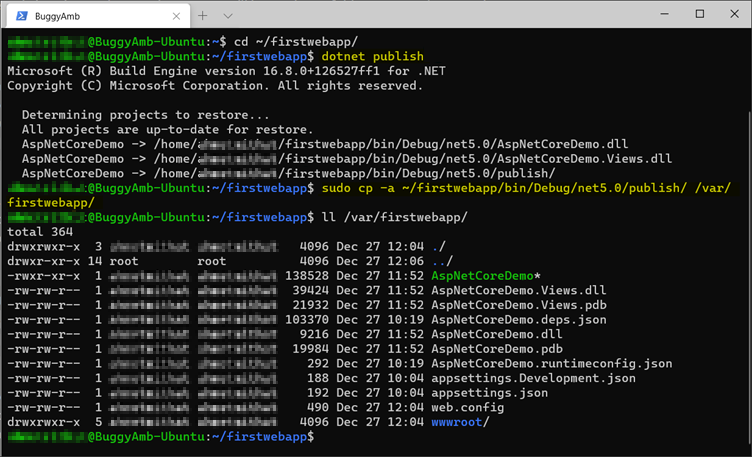 Screenshot of dotnet publish command.