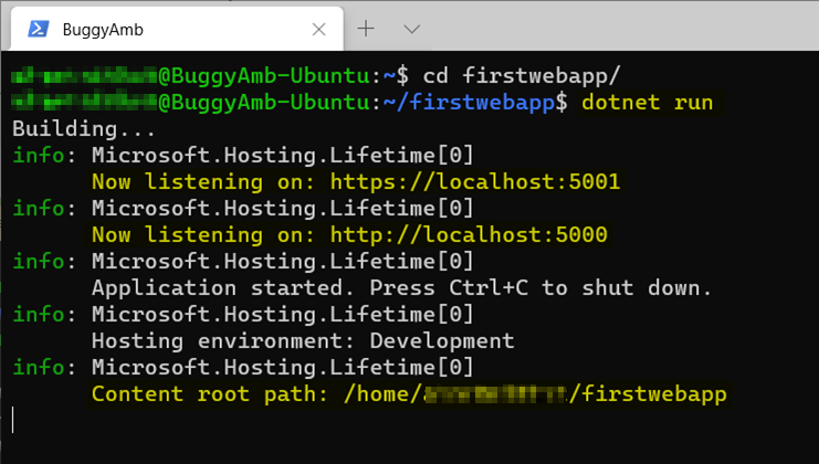 Screenshot of dotnet run command.