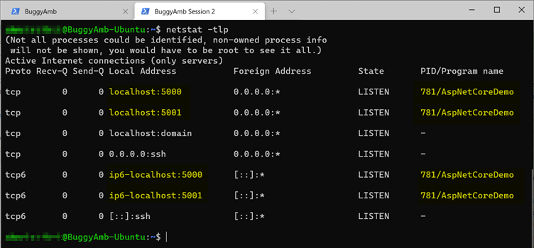 Screenshot of info netstat command.
