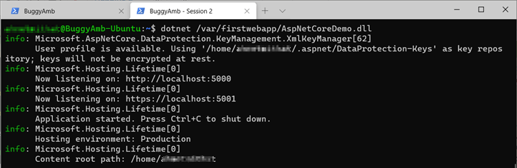 Screenshot of aspnet information.