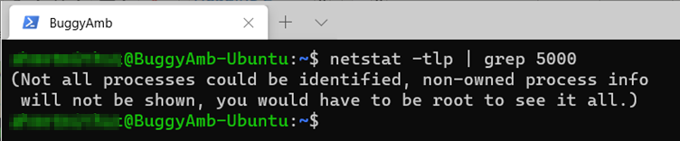 Screenshot of netstat command.