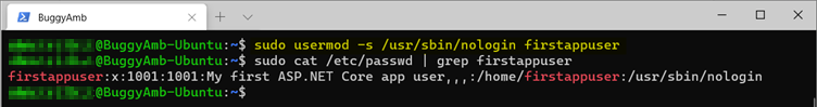 Screenshot of sudo usermod command.