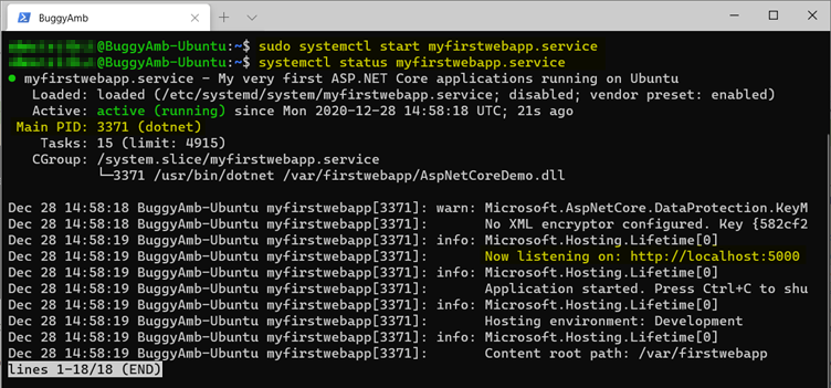 Screenshot of sudo systemctl start command.