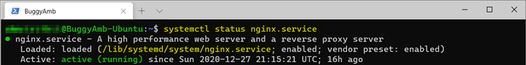 Screenshot of systemctl status nginx command.