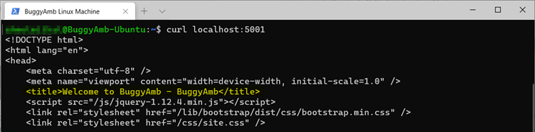 Screenshot of curl localhost command.